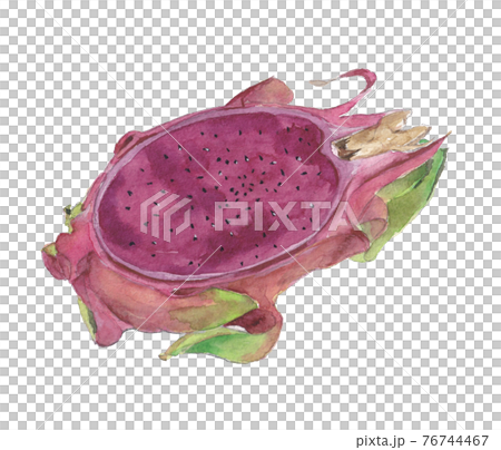 ドラゴンフルーツ 赤 の断面のイラスト素材 ドラゴンフルーツ 赤 の断面のイラスト素材
