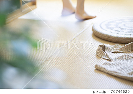 夏の日差しの中、少女の佇む和室の風景【夏】 76744629