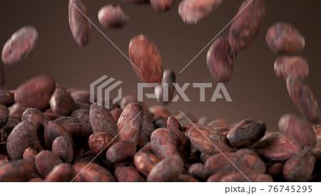 Falling roasted cocoa beans 76745295