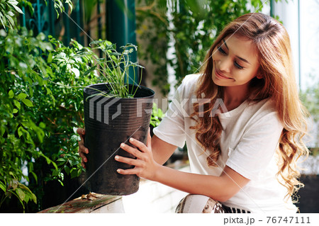 Woman planting flowers Woman planting flowers 76747111