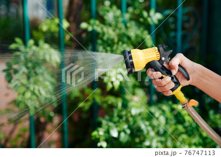 Woman watering plants and flowers Woman watering plants and flowers 76747113