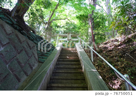 大山祇神社(山の神神社)鳥居 大山祇神社(山の神神社)鳥居 76750051