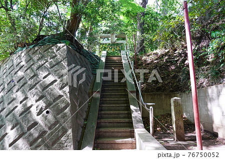 大山祇神社（山の神神社）参道 76750052