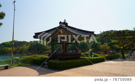 韓国 公園の風景 イチョン の写真素材