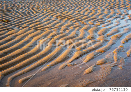朝日を受ける砂浜の波紋 朝日を受ける砂浜の波紋 76752130