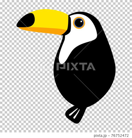 オニオオハシ 鳥のイラスト素材