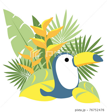 オニオオハシ 鳥 植物のイラスト素材