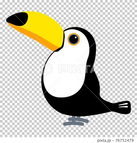 オニオオハシ　鳥 76752479