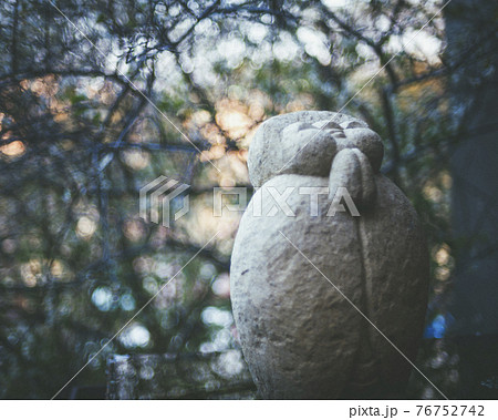 木 ツリー 樹 76752742