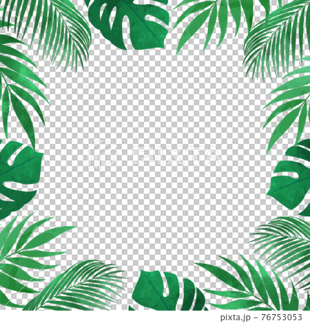 Vector illustration background of monstera and palm leaf frame (copy space, white background) Vector illustration background of monstera and palm leaf frame (copy space, white background) 76753053