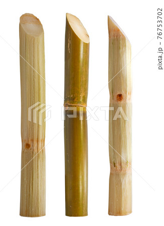 Single object of Sugar cane isolated on white background 76753702