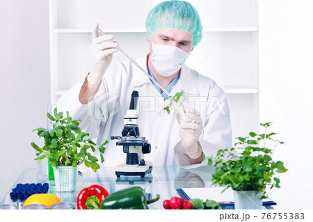 Researcher with GMO plants 76755383