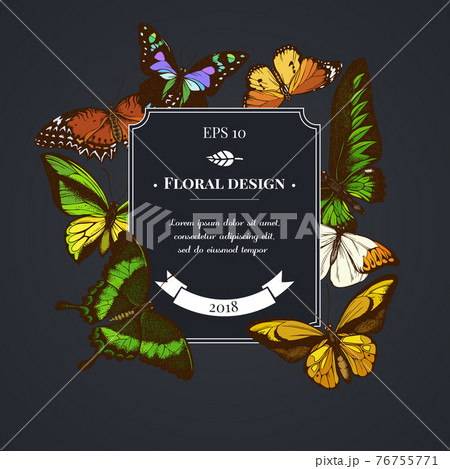 Dark badge design with red lacewing, wallace s golden birdwing, purple spotted swallowtail, great Dark badge design with red lacewing, wallace s golden birdwing, purple spotted swallowtail, great 76755771