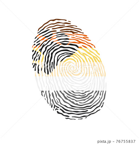 Fingerprint vector colored with the Bear Brotherhood pride flag isolated on white background Vector Illustration 76755837