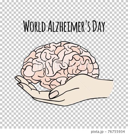 HEALTH CARE World Alzheimer Day Nervous System Anatomy Human Brain Medicine Vector Illustration HEALTH CARE World Alzheimer Day Nervous System Anatomy Human Brain Medicine Vector Illustration 76755934
