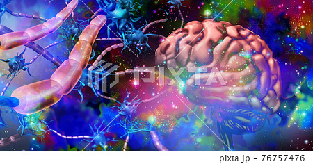 Nervous System Neurology Nervous System Neurology 76757476