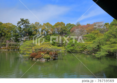 【京都府】快晴下の平安神宮 東神苑 【京都府】快晴下の平安神宮 東神苑 76759569