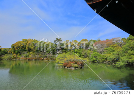 【京都府】快晴下の平安神宮 東神苑 【京都府】快晴下の平安神宮 東神苑 76759573