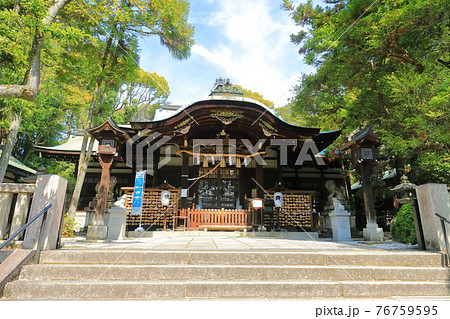 【京都府】新緑の東天王　岡﨑神社 76759595