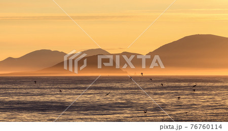 Picturesque arctic seascape 76760114