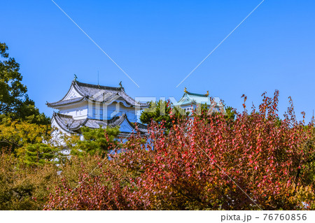 朝の名古屋城内秋景色 愛知県名古屋市 朝の名古屋城内秋景色 愛知県名古屋市 76760856