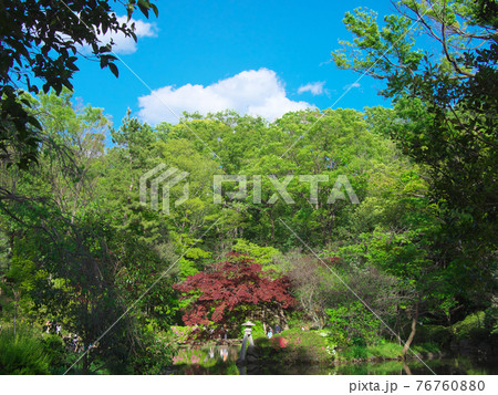 【東京都・2021年4月】 有栖川宮公園の新緑 自然風景 76760880