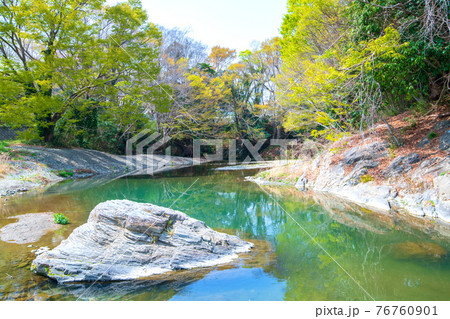 早春の都幾川　明神淵付近の景色　　　 76760901