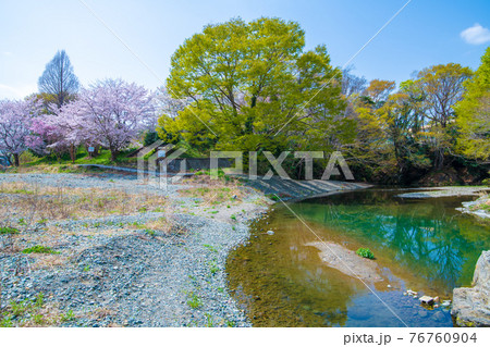 早春の都幾川 明神淵付近の景色 早春の都幾川 明神淵付近の景色 76760904