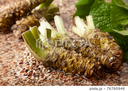 本わさび 76760946