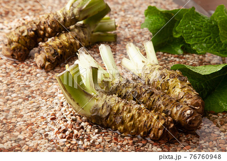 本わさび 76760948