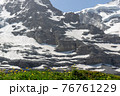 草原 76761229