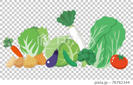 野菜盛り合わせのイラスト素材 76762344