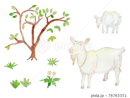 ヤギと草木の水彩イラストのイラスト素材