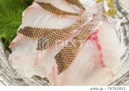 伊佐木(いさき)の湯引き「湯霜造りの刺身 伊佐木(いさき)の湯引き「湯霜造りの刺身 76763832