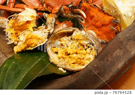 モクズガニの塩茹で カニ味噌と外子 の写真素材 モクズガニの塩茹で カニ味噌と外子 の写真素材