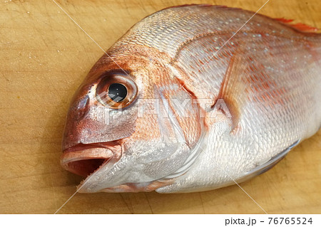 春子鯛(鯛の幼魚) 春子鯛(鯛の幼魚) 76765524