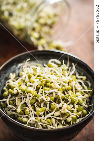Sprouted green mung beans. Mung sprouts in bowl. Sprouted green mung beans. Mung sprouts in bowl. 76765562
