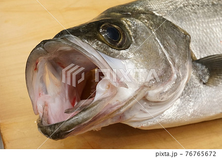 平鱸(ひらすずき) 平鱸(ひらすずき) 76765672