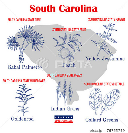 South Carolina. Set of USA official state symbols 76765759