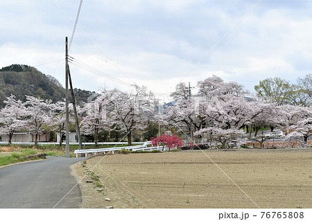 春の長瀞 76765808