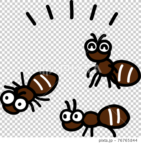 可愛的黑螞蟻，螞蟻 76765844