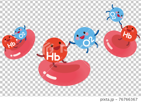 ヘモグロビンと結合する酸素 血液のイラスト素材