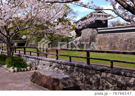 熊本市街地　熊本城周辺（長塀通り）春の景観 76766547