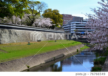熊本市街地　熊本城周辺（長塀通り）春の景観 76766549