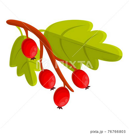 Branch hawthorn icon, cartoon style Branch hawthorn icon, cartoon style 76766803