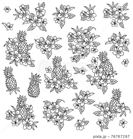 ハイビスカスとパイナップルのアロハ素材 のイラスト素材