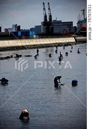 ふなばし三番瀬海浜公園 ふなばし三番瀬海浜公園 76767611