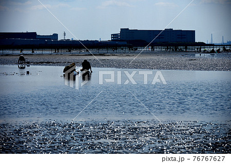 ふなばし三番瀬海浜公園 76767627