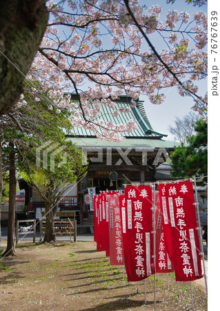 手児奈霊神堂と桜 手児奈霊神堂と桜 76767639