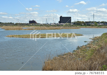 見沼田圃散歩:芝川第1調節池 見沼田圃散歩:芝川第1調節池 76768555